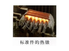 供應標準件透熱設備專用的透熱爐 - 工業電爐 - 電熱設備 - 電工電氣 - 供應 - 切它網(QieTa.com)